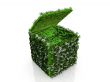 grass and tree box