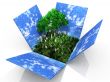 grass and tree box