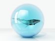 whale in a bubble
