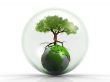 Earth and tree