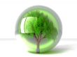 tree in a bubble