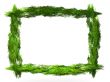 foliage frame