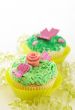 Vanilla cupcakes with various decorations