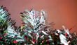 Christmas decorations