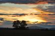 sunset and field