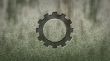 gear wheel