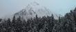 Caucasus mountains, winter forest and white clouds