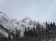 Caucasus mountains, winter forest and white mist