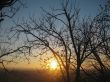 Autumn sunset middle the trees. Fall in Pyatigorsk