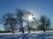 Christmas Snow and Sun