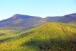 Summer landscape with Caucasus green mountains