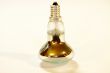 light bulb