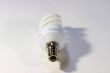 light bulb