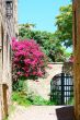 Medieval street in Old city of Rhodes