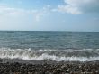 Seashore of the Black sea. Summer journey