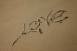 word `love`