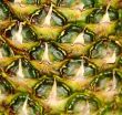 Image of big appetizing pineapple background