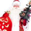 Christmas theme: Santa Claus holding christmas tree and his bag 