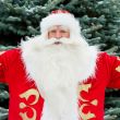 Portrait of Santa Claus standing with open hands outdoors at chr