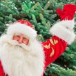 Portrait of natural Santa Claus standing at Christmas Tree outdo