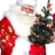 Christmas theme: Santa Claus holding christmas tree and his bag 
