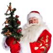 Christmas theme: Santa Claus holding christmas tree and his bag 
