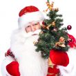 Christmas theme: Santa Claus holding christmas tree and his bag 