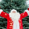 Portrait of Santa Claus standing with open hands outdoors at chr