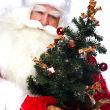 Christmas theme: Santa Claus holding christmas tree and his bag 