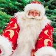 Portrait of natural Santa Claus standing at Christmas Tree outdo