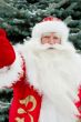 Portrait of natural Santa Claus standing at Christmas Tree outdo
