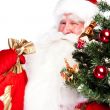 Christmas theme: Santa Claus holding christmas tree and his bag 