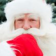 Portrait of Santa Claus standing with hand on chin outdoors at c
