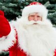 Portrait of natural Santa Claus standing at Christmas Tree outdo