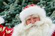 Portrait of natural Santa Claus standing at Christmas Tree outdo