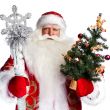 Christmas theme: Santa Claus holding christmas tree and his bag 