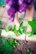 Artistic lifestyle photo of cute little girl`s legs outdoor at s