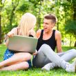Young happy smiling couple with laptop at picnic