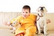 Handsome Young Boy Playing with His Two Dogs Against White Backg