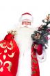 Christmas theme: Santa Claus holding christmas tree and his bag 