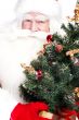 Christmas theme: Santa Claus holding christmas tree and his bag 