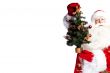 Christmas theme: Santa Claus holding christmas tree and his bag 