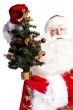 Christmas theme: Santa Claus holding christmas tree and his bag 