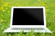 Laptop on grass