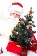 Christmas theme: Santa Claus holding christmas tree and his bag 