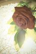 Red rose