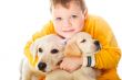 Handsome Young Boy Playing with His Dog Against White Background