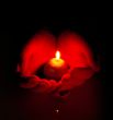 Human hands hold burning candle