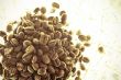 brown coffee