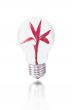bulb with red plant
